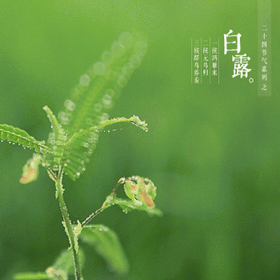 fa8ab00fb1b2fa135e9117d59851070c_t01cc6ead40dbcf39b2.gif