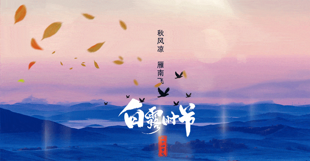 6a5dee4013c0a7aff7a5edbd18349be2_t04b8c54145d66043e8.gif