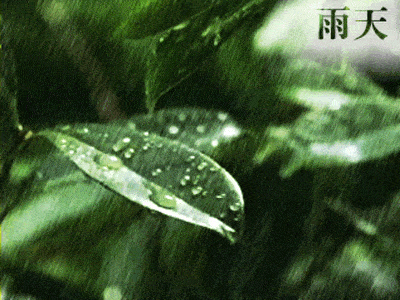 f24689e2084c71d32fba9f8c102486f8_t016791c34e4585ece7.gif