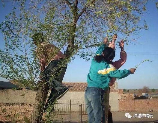 长青诗词白银分社