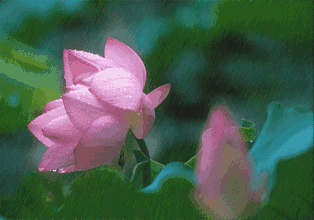 c89b7442538b7d27d2d724ba8a384eb4_t01ac79c594300bb099.gif