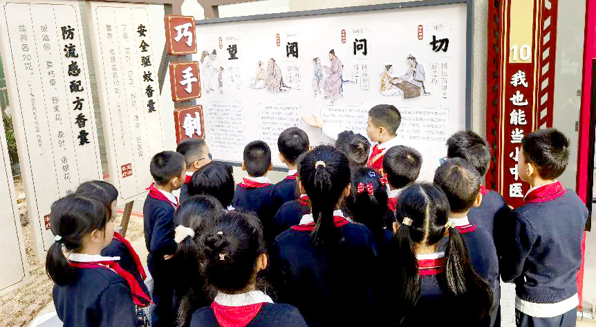 广东广州：院校携手播下中医药文化“种子”